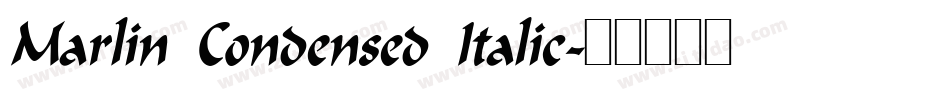 Marlin Condensed Italic字体转换